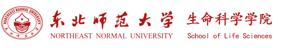 老的365bet官网